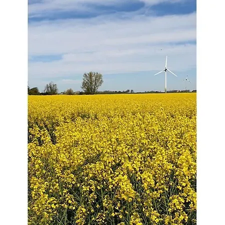 Lutt Lonneberga Haus Klein-ida